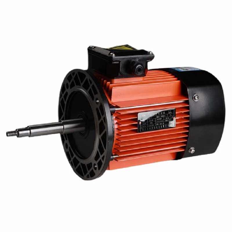Motor in Water Pump